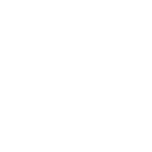 Pasukan Berpengalaman